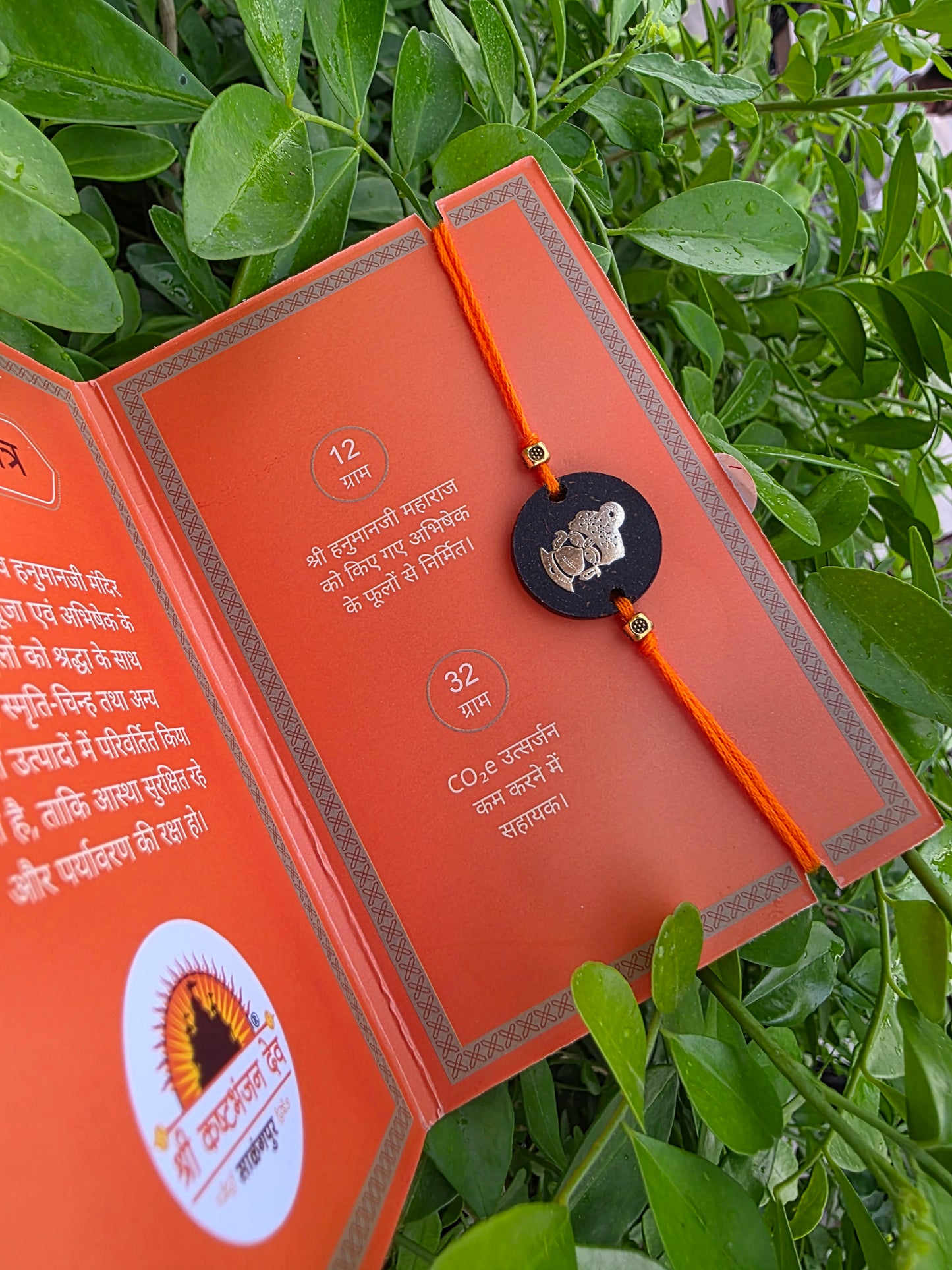 DADA NE DHARAVELI RAKHDI - 5 PCS