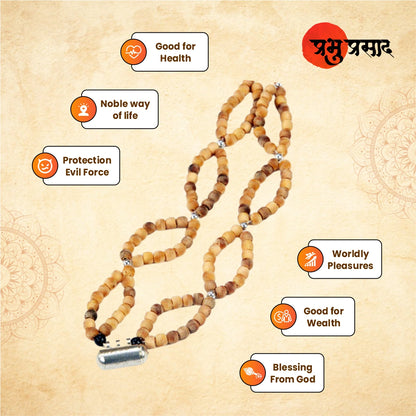 Kanthi Sukhad - 2 - 8.5 - 7Gm