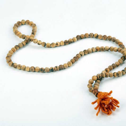 JAP MALA TULSI  - 17.5 - 27GM - Salangpur Store